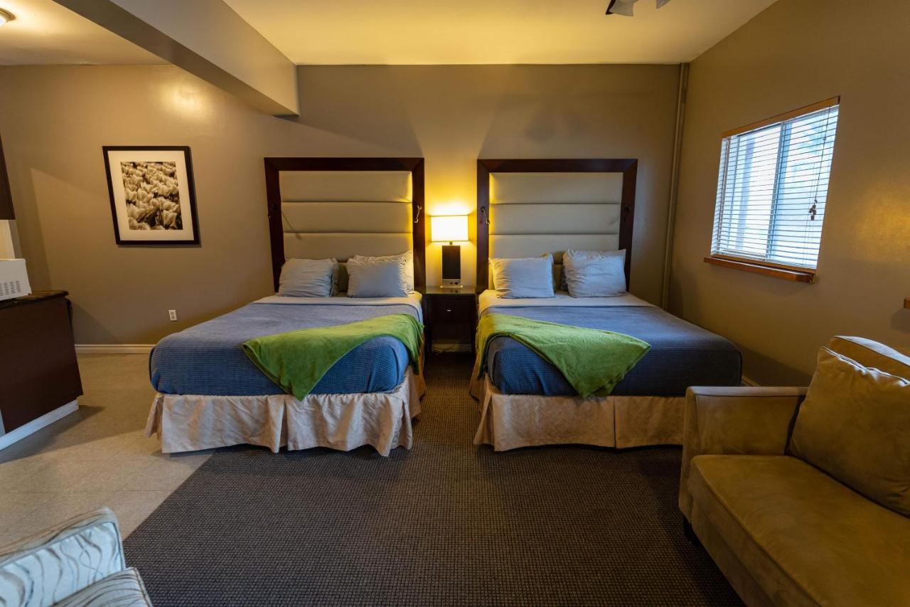 Stoco Lake Lodge Tweed Екстериор снимка