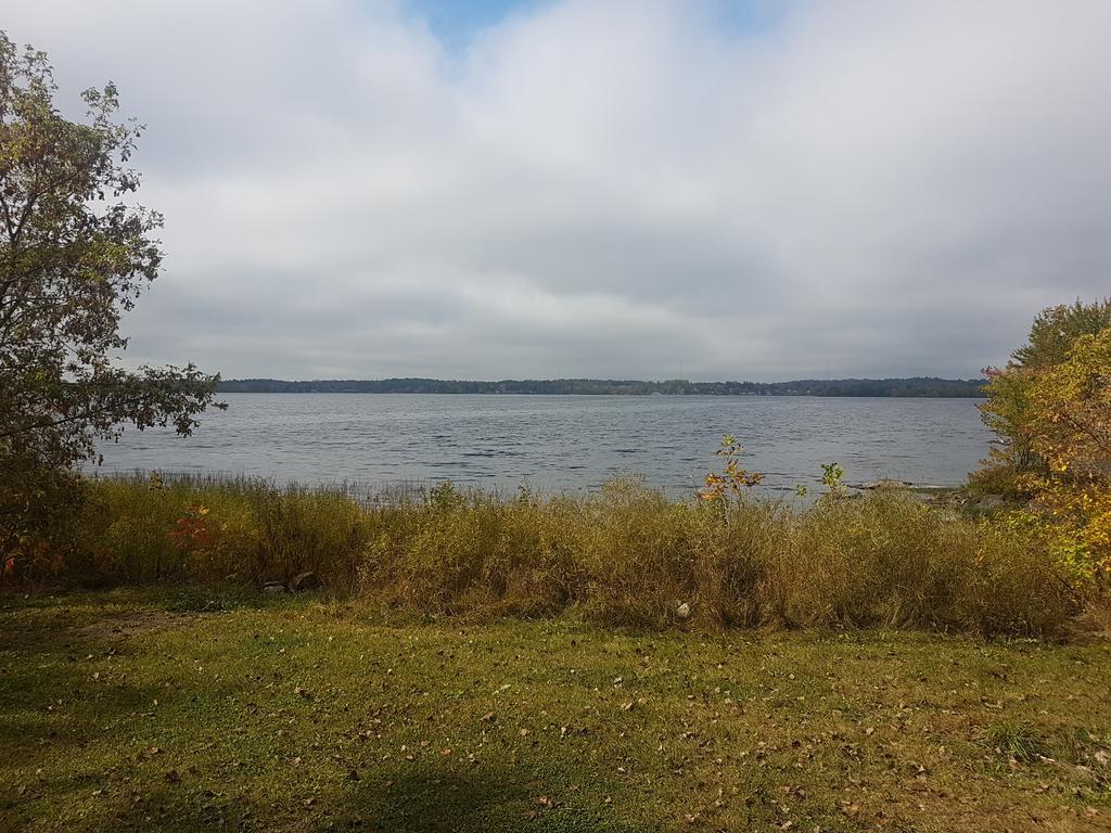 Stoco Lake Lodge Tweed Екстериор снимка